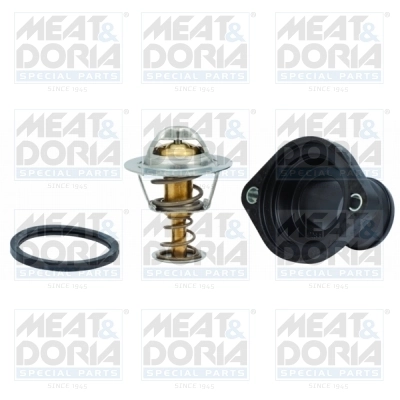 Thermostat, coolant